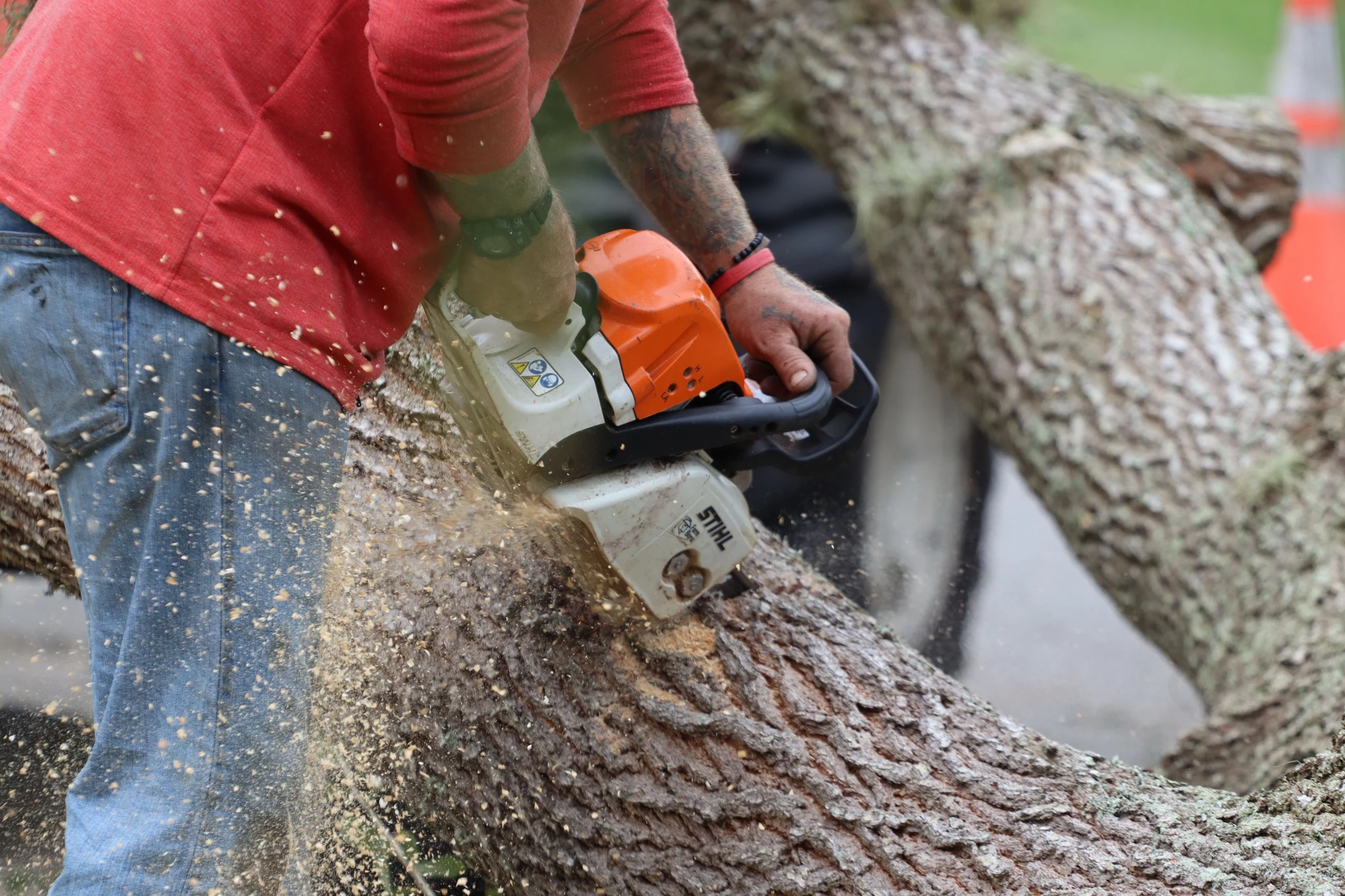 ALBY Tree service in Villa Rica, GA